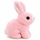 ChatGPT Image Sep 12, 2026, 10_56_50 AM.webp